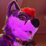 dalitefur from onlyfans