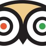 dickadvisor from onlyfans