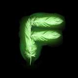 fettishvids from onlyfans