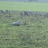 meganbeee97 from onlyfans