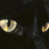 nataliefartz from onlyfans