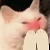 nel3631 from onlyfans