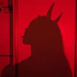 redmoon006 from onlyfans