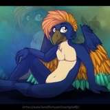 starthedragon from onlyfans