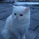 sweethoneybum from onlyfans