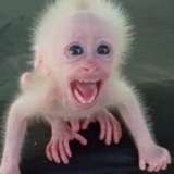 tiffanyteabagfree from onlyfans