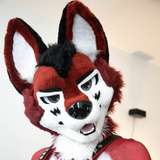 wolf_ezo from onlyfans