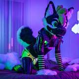 squeakytester from onlyfans