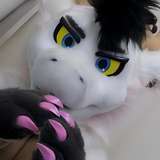 draad55 from onlyfans