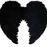 ellec2020 from onlyfans