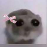 l0afii_0 from onlyfans