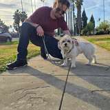 stoneynomad from onlyfans