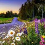 u414896378 from onlyfans