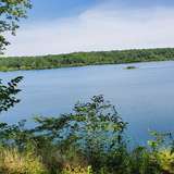 dahmanonsight from onlyfans