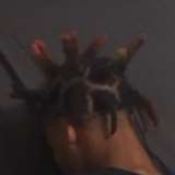 dawgzgetfckked from onlyfans