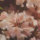 leoooon213 from onlyfans