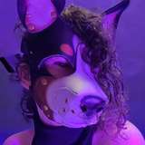 spicyxpup from onlyfans